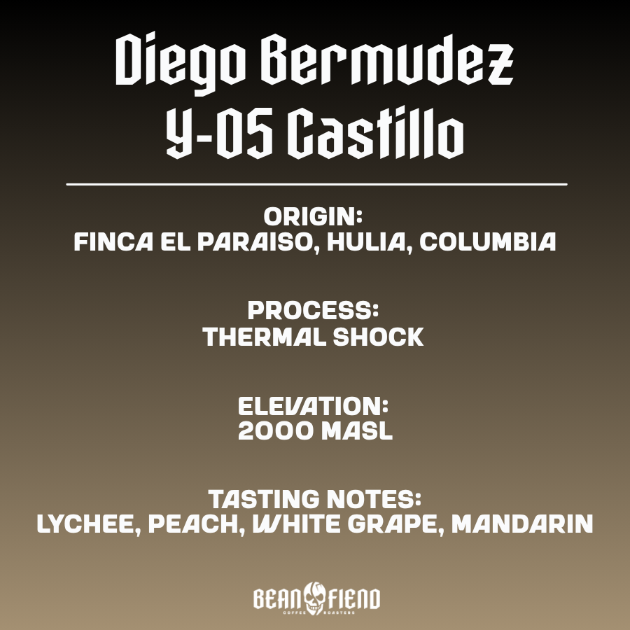 Diego Bermudez Y-05 Castillo
