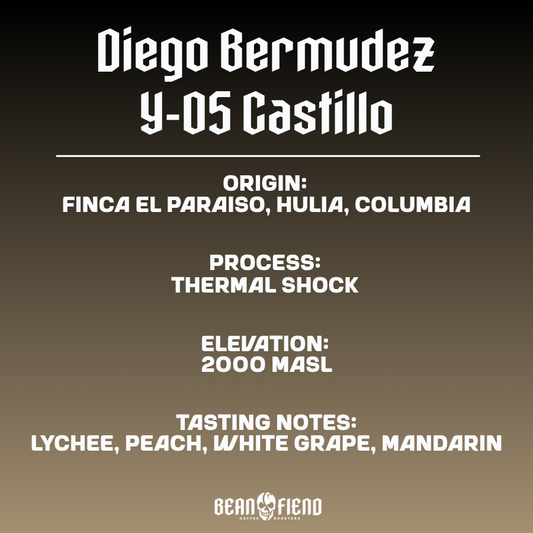 Diego Bermudez Y-05 Castillo