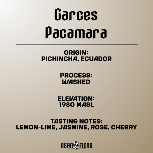 Garces Pacamara