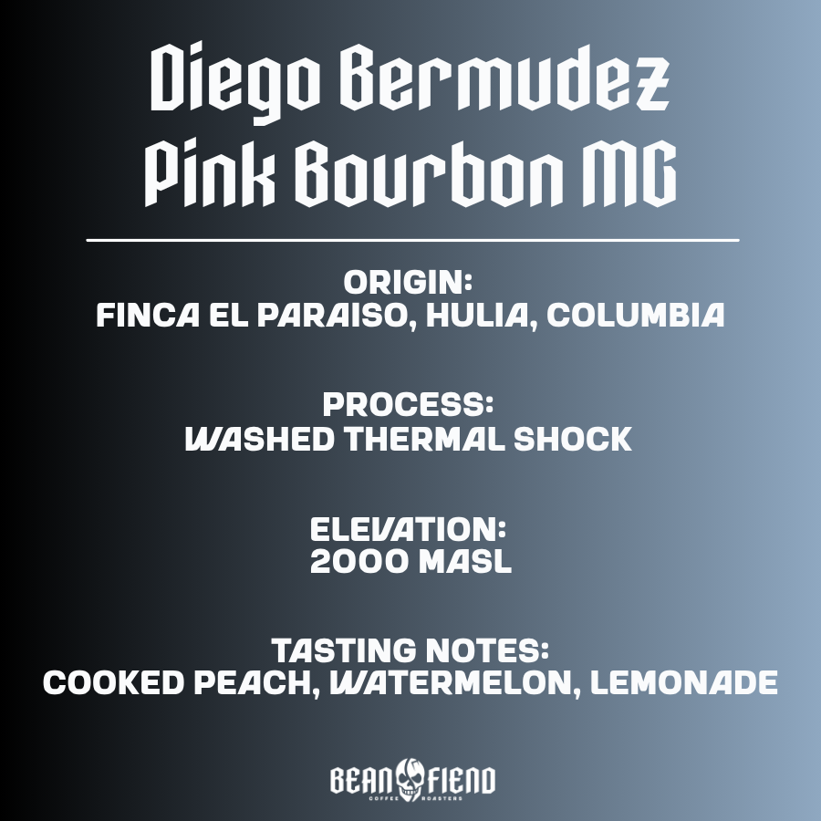 Diego Bermudez Pink Bourbon MG
