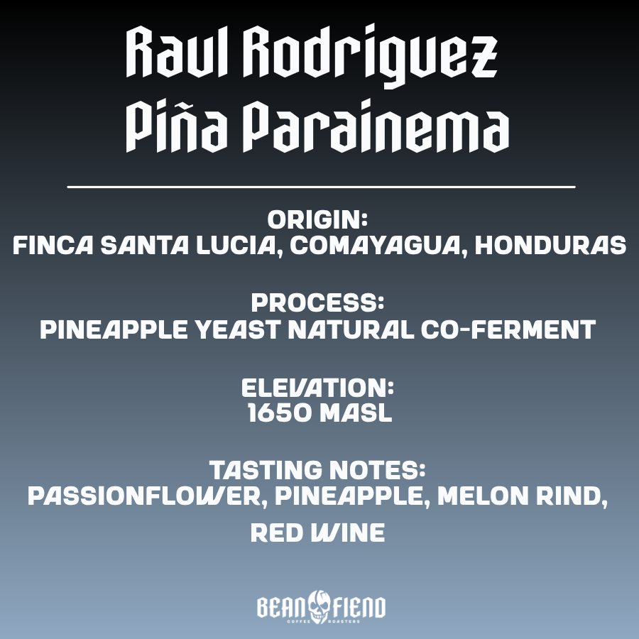 Raul Rodriguez Piña Parainema | Bean Fiend Coffee