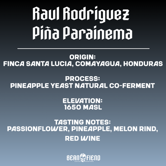 Raul Rodriguez Piña Parainema | Bean Fiend Coffee