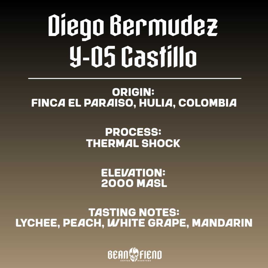 Diego Bermudez Castillo Thermal Shock Colombian coffee bag label