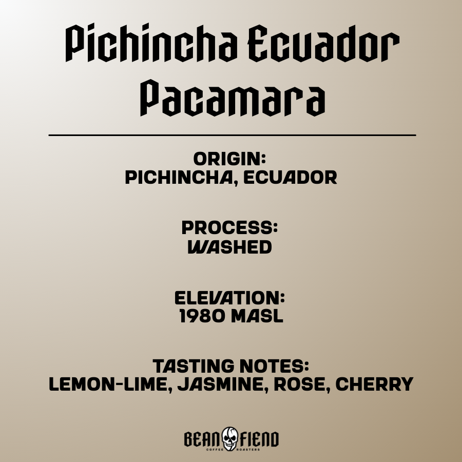 Pichincha Pacamara Ecuadorian single origin coffee bag label