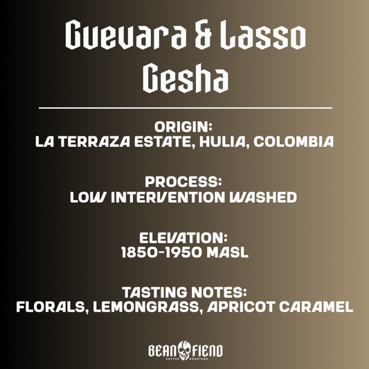Guevara & Lasso Gesha