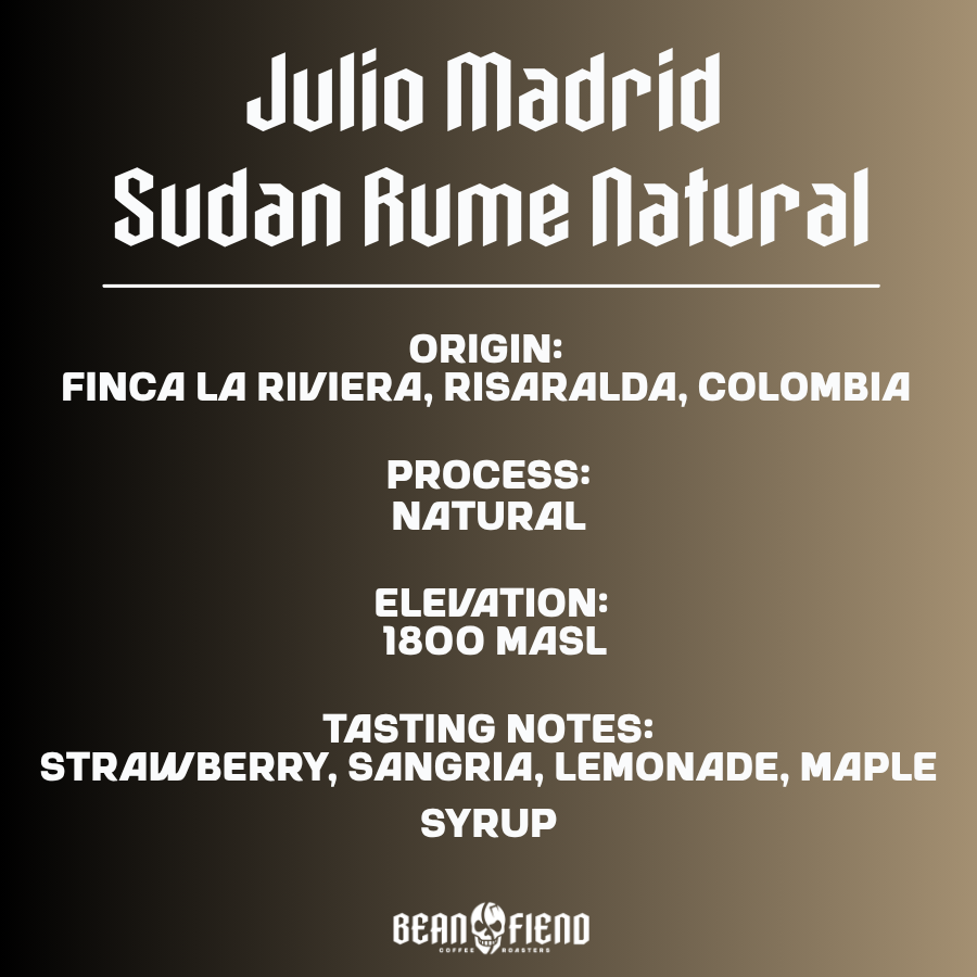 Julio Madrid Sudan Rume Natural | Bean Fiend Coffee